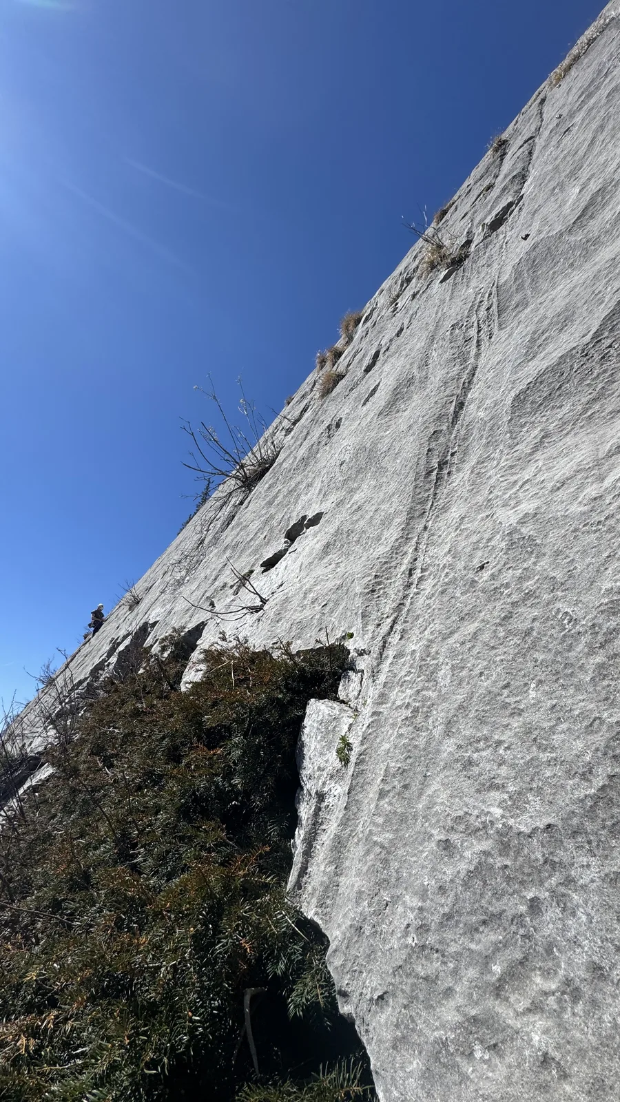 Paroi calcaire en contre-plongée, soleil filtrant en haut de la paroi et végétation en bas