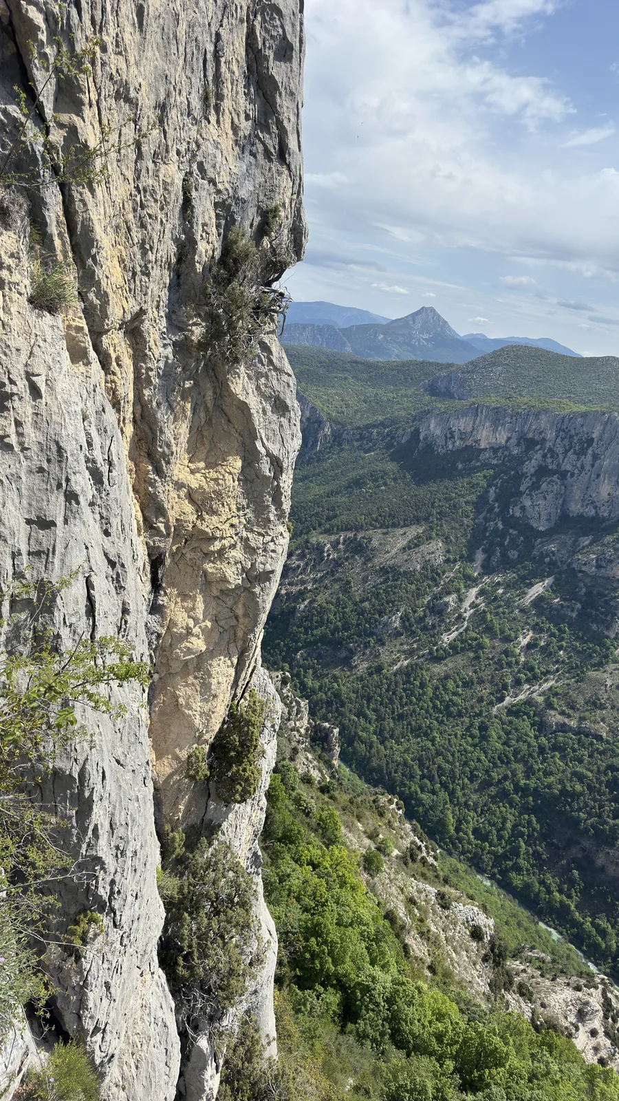 Lire le terrain et décider