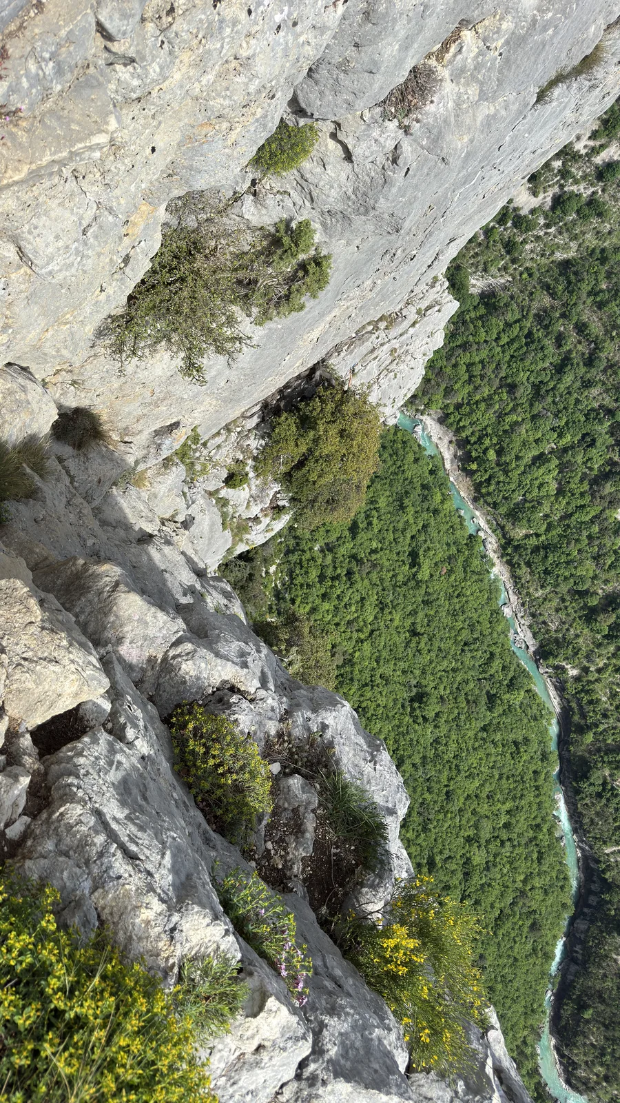 Vue plongeante depuis une paroi sur une rivière turquoise serpentine et la végétation