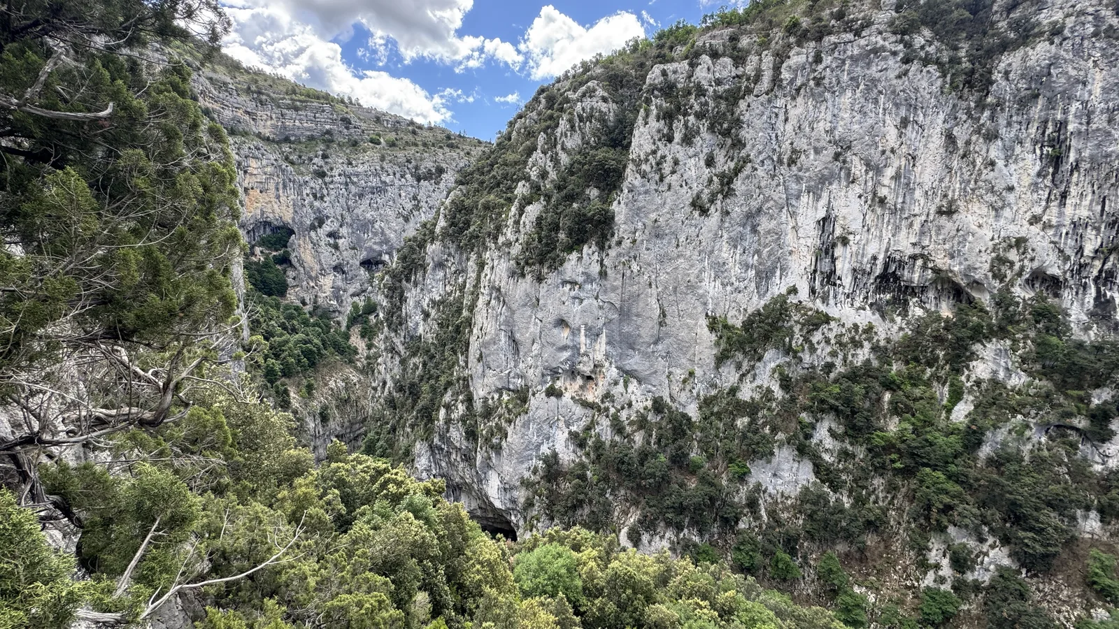Panorama de falaise massive avec sentier d'approche