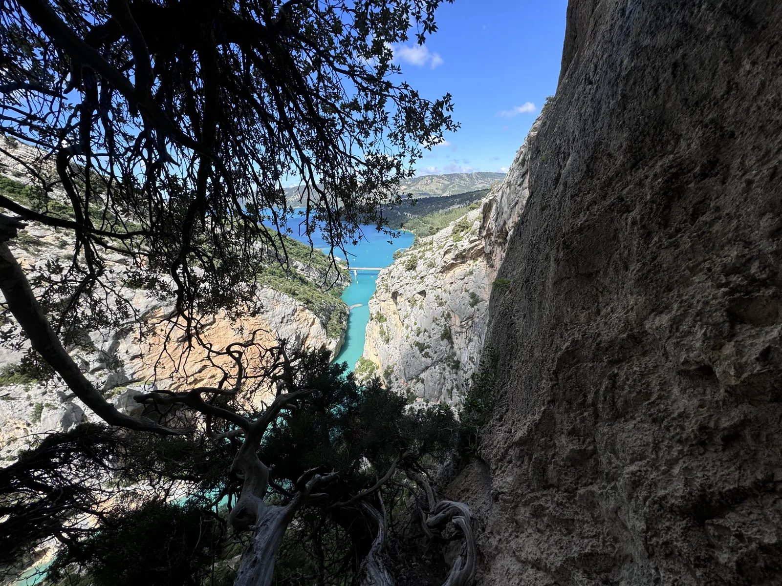 Lac de Sainte-Croix cadré par arbre