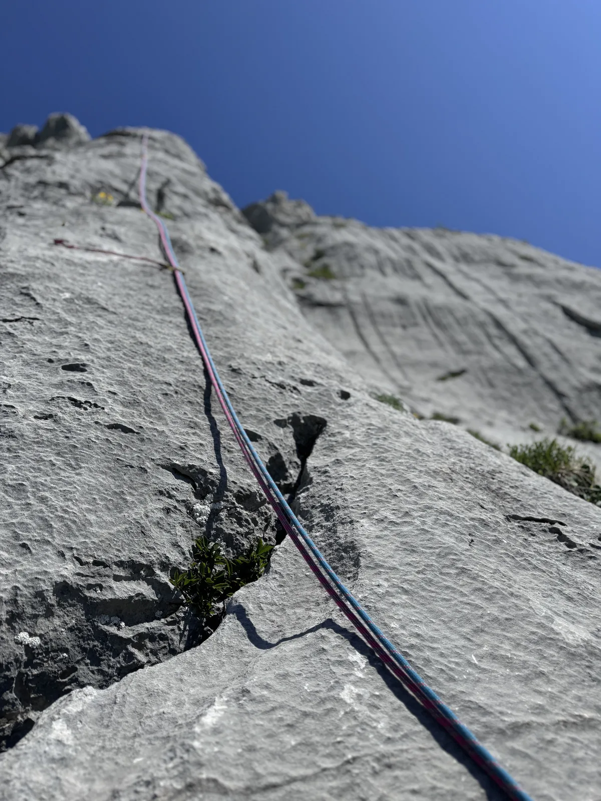Dalle calcaire grise avec une corde double qui descend en perspective vers le bas de la paroi