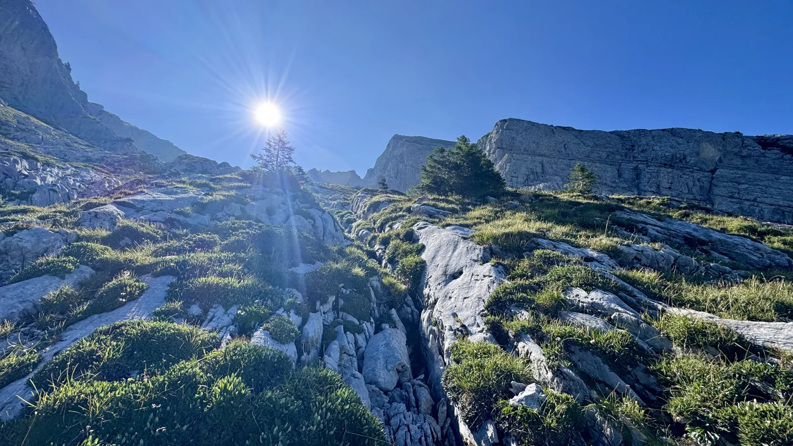 Soleil rasant sur des dalles calcaires et des pins, au-dessus de l'alpage