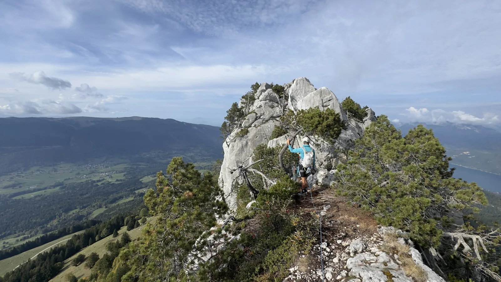 Grimpeur sur un pinacle calcaire au-dessus des pins, plaine au loin
