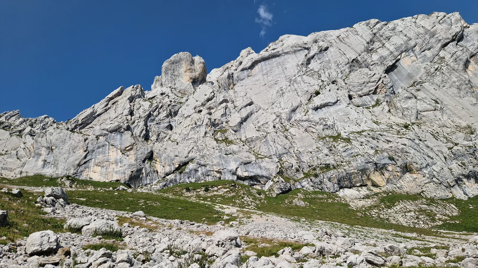 Pic calcaire dressé avec arbustes au pied