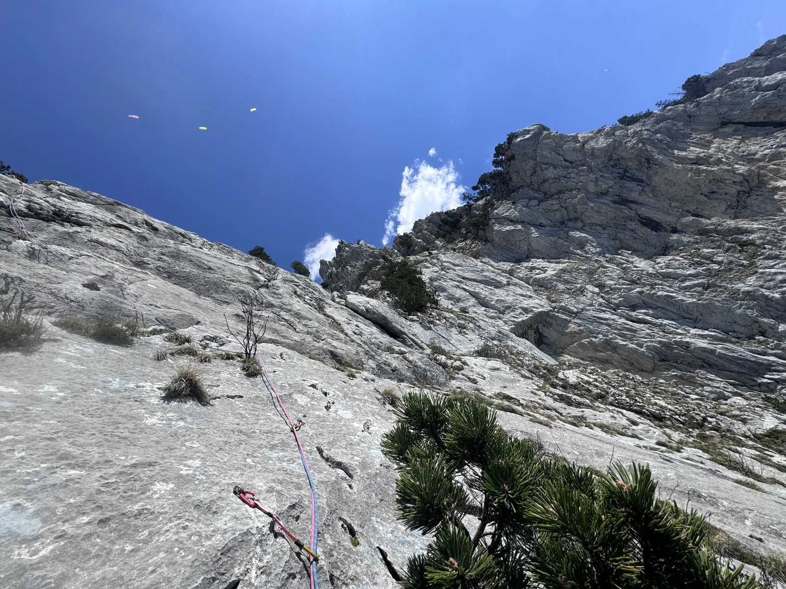 Grimpeur sur paroi calcaire blanche avec corde rouge tendue